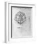 Icosahedron, from "De Divina Proportione" by Luca Pacioli, Published 1509, Venice-Leonardo da Vinci-Framed Giclee Print