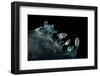 Icy Blue Glint-Ursula Abresch-Framed Photographic Print