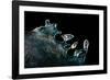 Icy Blue Glint-Ursula Abresch-Framed Photographic Print