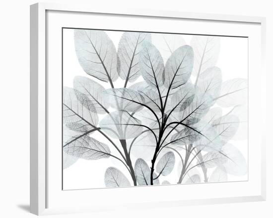 Icy Embrace 1-Albert Koetsier-Framed Art Print