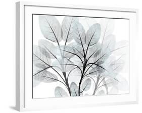 Icy Embrace 1-Albert Koetsier-Framed Art Print