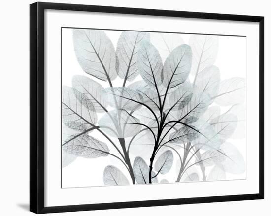 Icy Embrace 1-Albert Koetsier-Framed Art Print