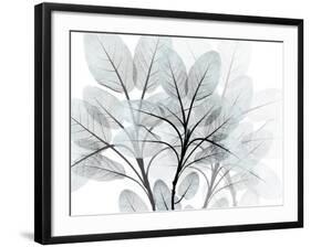 Icy Embrace 1-Albert Koetsier-Framed Art Print