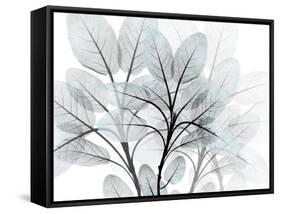 Icy Embrace 1-Albert Koetsier-Framed Stretched Canvas