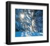 Icy Glow II-null-Framed Art Print