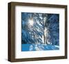 Icy Glow II-null-Framed Art Print