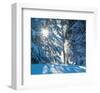 Icy Glow II-null-Framed Art Print