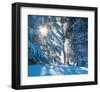 Icy Glow II-null-Framed Art Print