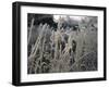 Icy Grass, Boulder-Michael Brown-Framed Photographic Print