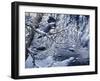 Icy Reflections-Jeff Tift-Framed Giclee Print