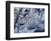 Icy Reflections-Jeff Tift-Framed Giclee Print