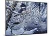 Icy Reflections-Jeff Tift-Mounted Giclee Print