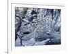 Icy Reflections-Jeff Tift-Framed Giclee Print