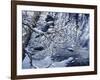 Icy Reflections-Jeff Tift-Framed Giclee Print