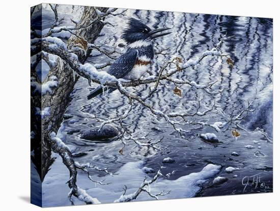 Icy Reflections-Jeff Tift-Stretched Canvas