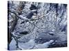 Icy Reflections-Jeff Tift-Stretched Canvas