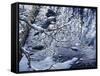 Icy Reflections-Jeff Tift-Framed Stretched Canvas