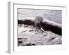 Icy River-WizData-Framed Photographic Print