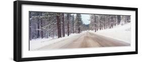 Icy Road and Snowy Forest, California-null-Framed Premium Photographic Print