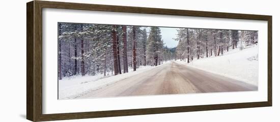 Icy Road and Snowy Forest, California-null-Framed Photographic Print