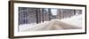 Icy Road and Snowy Forest, California-null-Framed Photographic Print