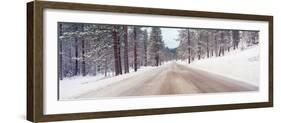 Icy Road and Snowy Forest, California-null-Framed Photographic Print