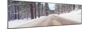 Icy Road and Snowy Forest, California-null-Mounted Photographic Print
