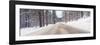 Icy Road and Snowy Forest, California-null-Framed Photographic Print