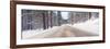 Icy Road and Snowy Forest, California-null-Framed Photographic Print