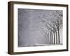 Icy Road, Avenue with Hoarfrost, Stuttgart, Baden-Wuerttemberg, Germany-Michael Weber-Framed Photographic Print