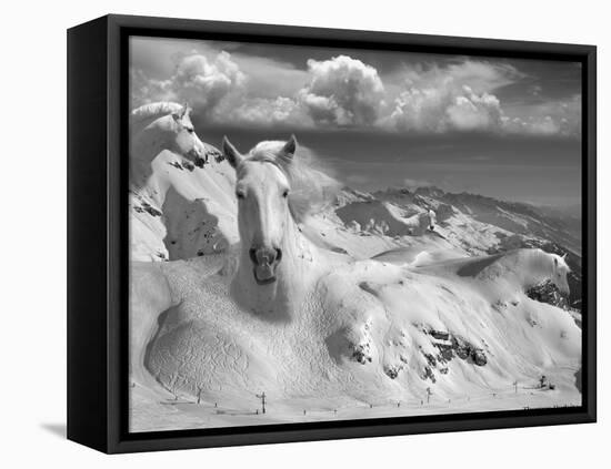 Icy Studs-Thomas Barbey-Framed Stretched Canvas