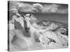 Icy Studs-Thomas Barbey-Stretched Canvas