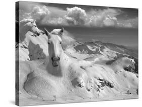 Icy Studs-Thomas Barbey-Stretched Canvas