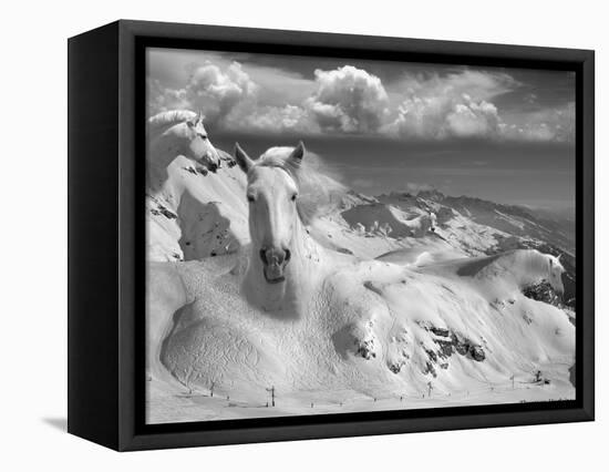 Icy Studs-Thomas Barbey-Framed Stretched Canvas