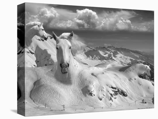 Icy Studs-Thomas Barbey-Stretched Canvas