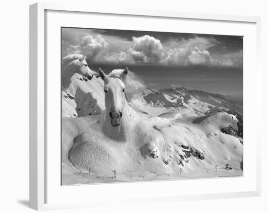 Icy Studs-Thomas Barbey-Framed Giclee Print