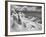 Icy Studs-Thomas Barbey-Framed Giclee Print