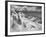 Icy Studs-Thomas Barbey-Framed Giclee Print