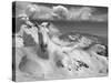 Icy Studs-Thomas Barbey-Stretched Canvas