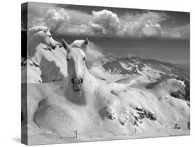 Icy Studs-Thomas Barbey-Stretched Canvas