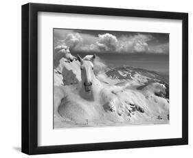 Icy Studs-Thomas Barbey-Framed Giclee Print