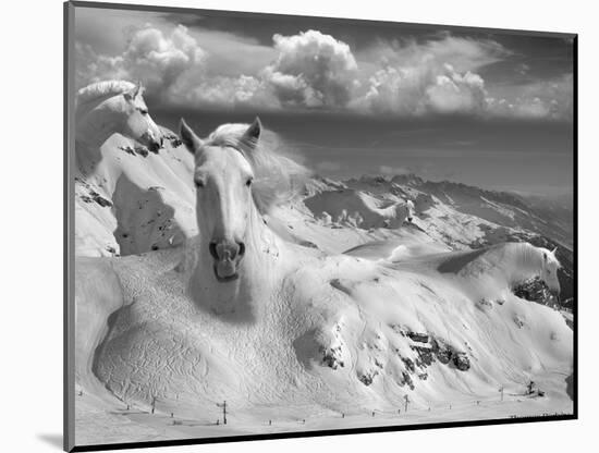 Icy Studs-Thomas Barbey-Mounted Giclee Print