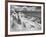 Icy Studs-Thomas Barbey-Framed Giclee Print