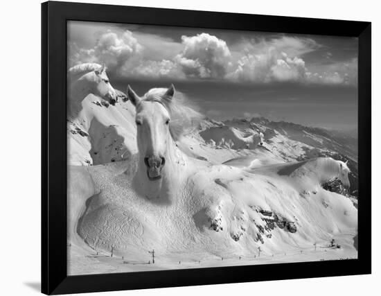 Icy Studs-Thomas Barbey-Framed Giclee Print