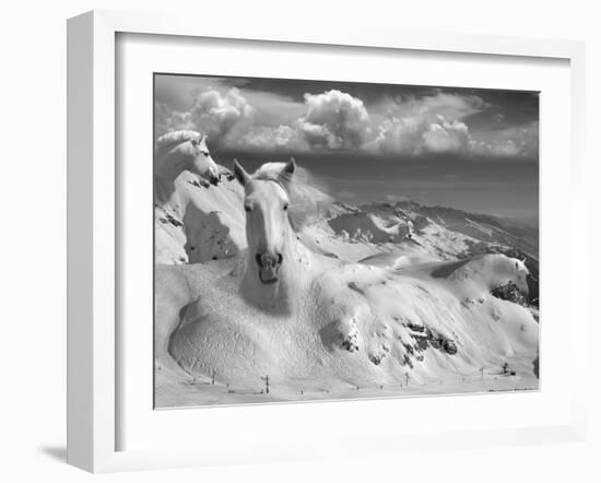 Icy Studs-Thomas Barbey-Framed Giclee Print