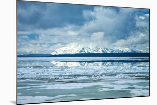 Icy Summer Landscape at Yellowstone Lake, Wyoming-Vincent James-Mounted Photographic Print