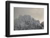 Icy Summit at the Lofoten in the Morning Sun-Niki Haselwanter-Framed Photographic Print