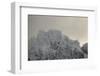 Icy Summit at the Lofoten in the Morning Sun-Niki Haselwanter-Framed Photographic Print