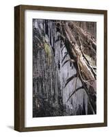 Icy Tree, Near Baiersbronn, Black Forest, Baden Wurttemberg, Germany, Europe-Marcus Lange-Framed Photographic Print