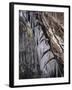 Icy Tree, Near Baiersbronn, Black Forest, Baden Wurttemberg, Germany, Europe-Marcus Lange-Framed Photographic Print